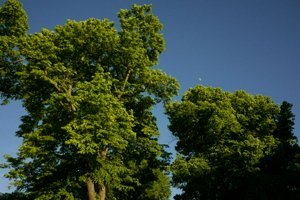 IMG_6182.jpg