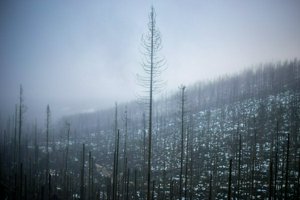 IMG_1442.jpg