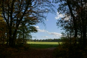 IMG_0355.jpg