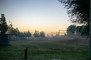 IMG_2035.jpg