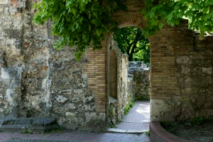IMG_4269.jpg