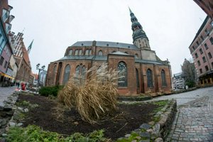 IMG_1239.jpg