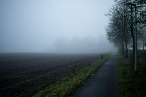 IMG_1030.jpg