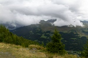 IMG_1065.jpg