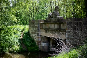 IMG_0648.jpg