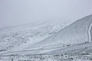 IMG_0118.jpg