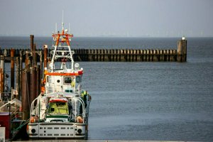 IMG_6592.jpg