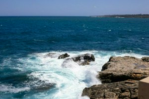 IMG_9875.jpg