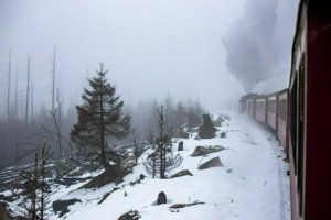 IMG_1289.jpg