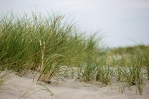 IMG_9984.jpg