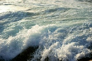 IMG_3062.jpg