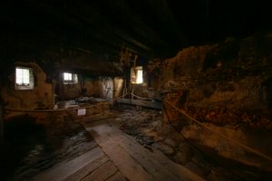 IMG_5831-Улучшено-NR.jpg