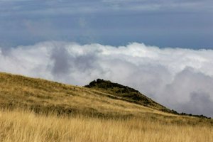 IMG_9425.jpg