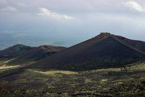 IMG_9560.jpg