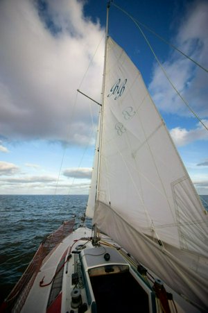 IMG_7042.jpg