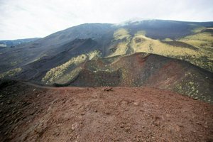 IMG_9530.jpg