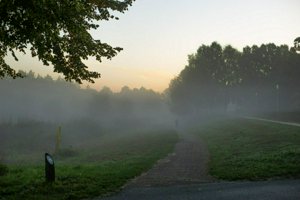 IMG_2060.jpg