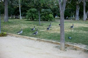 IMG_9514.jpg