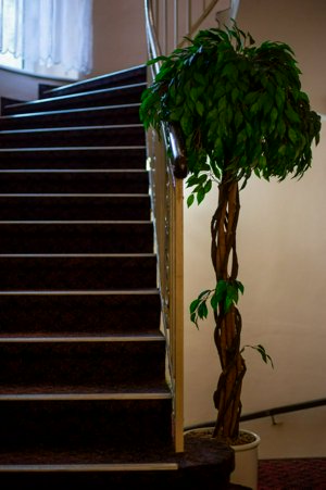 IMG_0762-NR.jpg