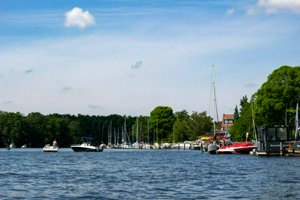 IMG_7604.jpg
