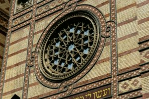 IMG_3944.jpg