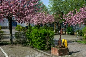 IMG_8308.jpg