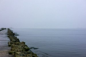IMG_2129.jpg