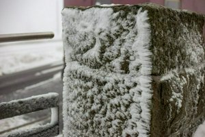 IMG_1332.jpg