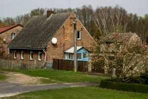 IMG_7434.jpg