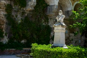 IMG_9681.jpg