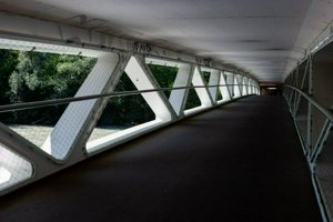 IMG_5327.jpg