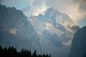 IMG_6387.jpg