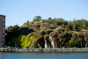 IMG_7194.jpg