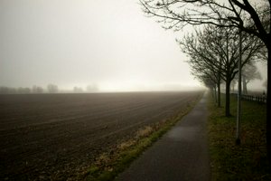 IMG_1034.jpg