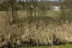 IMG_8748.jpg