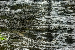 IMG_1325.jpg