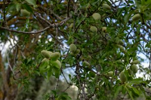 IMG_9973.jpg