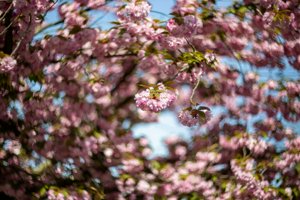 IMG_8337.jpg
