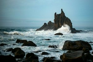 IMG_6346.jpg