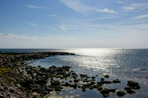 IMG_3542.jpg