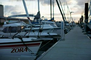 IMG_7034.jpg