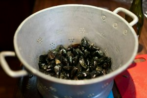 IMG_8477.jpg