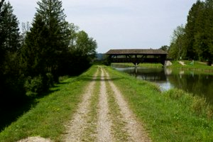 IMG_5040.jpg
