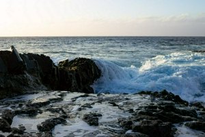 IMG_3097.jpg
