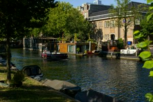 IMG_4692.jpg