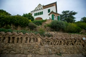 IMG_9831.jpg