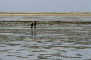 IMG_7586.jpg