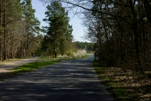 IMG_9741.jpg