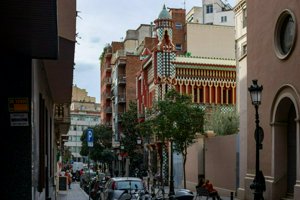 IMG_9935.jpg