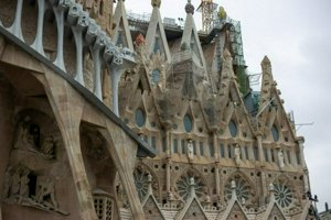 IMG_9401.jpg